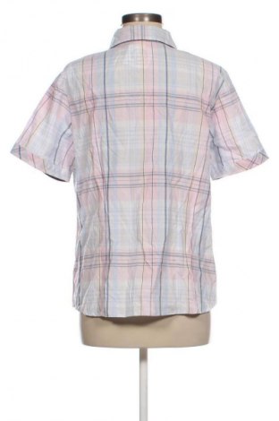 Damenbluse Collection L, Größe L, Farbe Mehrfarbig, Preis € 11,99