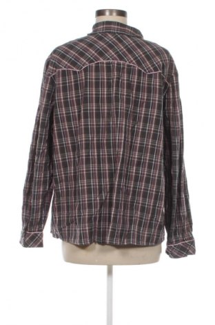 Damenbluse Debenhams, Größe XXL, Farbe Mehrfarbig, Preis € 17,85