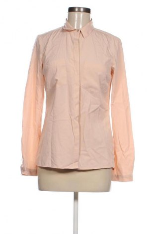 Damenbluse Montego, Größe S, Farbe Rosa, Preis € 3,99
