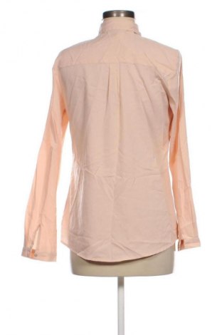 Damenbluse Montego, Größe S, Farbe Rosa, Preis € 3,99
