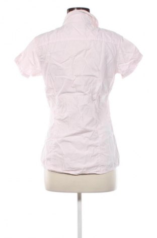 Damenbluse Roadsign, Größe M, Farbe Rosa, Preis 7,99 €