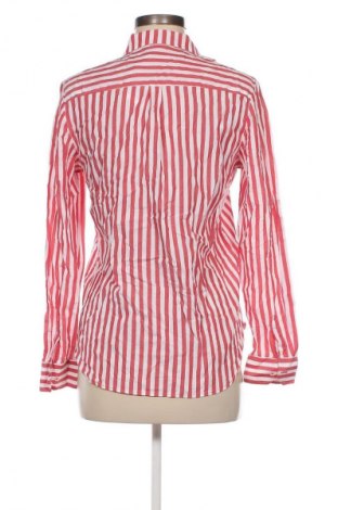 Damenbluse Up 2 Fashion, Größe S, Farbe Mehrfarbig, Preis € 3,99