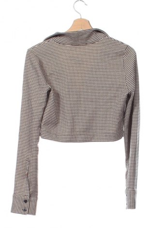 Damenbluse Zara, Größe M, Farbe Mehrfarbig, Preis € 5,99
