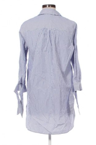 Damenbluse Zara, Größe S, Farbe Mehrfarbig, Preis 18,99 €