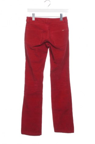 Damen Cordhose Only Fashion, Größe S, Farbe Rot, Preis € 3,99