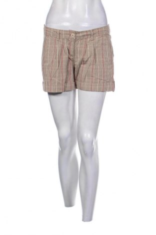 Damen Shorts Colours Of The World, Größe S, Farbe Mehrfarbig, Preis € 2,99