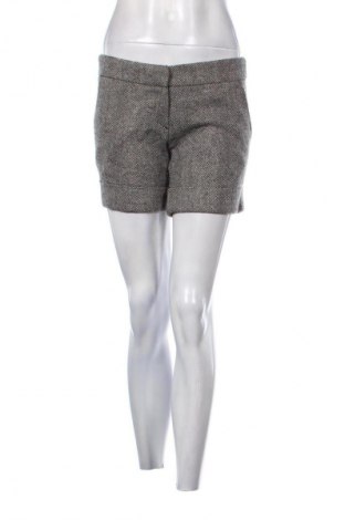 Damen Shorts Morgan, Größe M, Farbe Mehrfarbig, Preis € 8,99