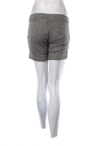 Damen Shorts Morgan, Größe M, Farbe Mehrfarbig, Preis € 8,99