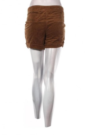 Damen Shorts Okay, Größe M, Farbe Braun, Preis € 9,99