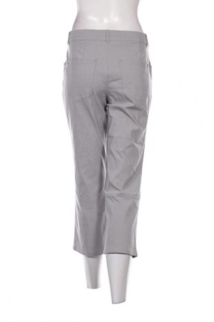 Pantaloni de femei Biaggini, Mărime L, Culoare Gri, Preț 16,99 Lei