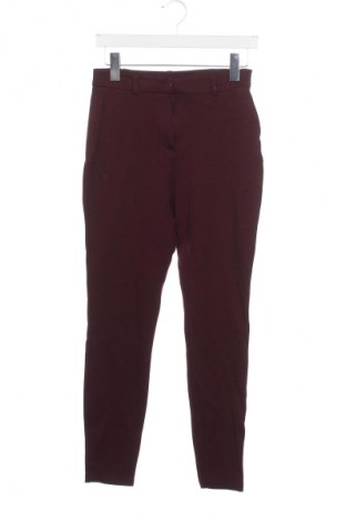 Damenhose Dorothy Perkins, Größe S, Farbe Lila, Preis € 5,99