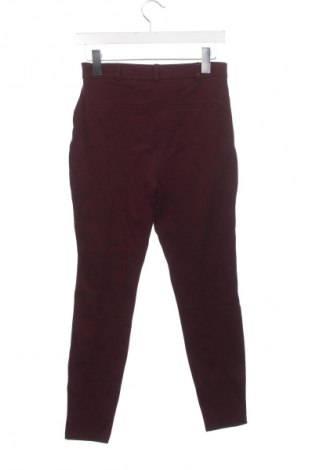 Damenhose Dorothy Perkins, Größe S, Farbe Lila, Preis € 5,99