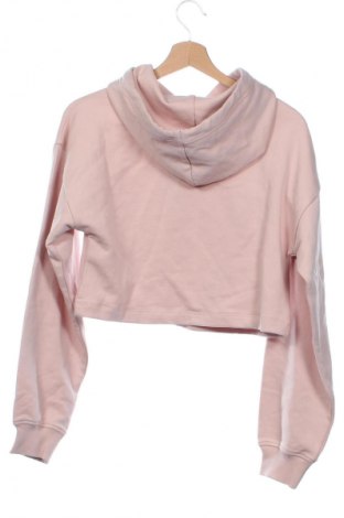 Damen Sweatshirt Calvin Klein Jeans, Größe XS, Farbe Aschrosa, Preis 68,99 €