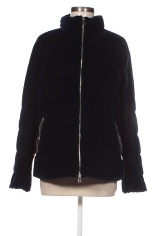 Dámska bunda  Massimo Dutti, Veľkosť XL, Farba Modrá, Cena  41,95 €