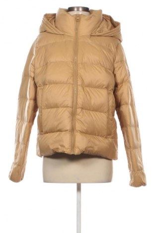Dámska bunda  Tommy Hilfiger, Veľkosť XXL, Farba Béžová, Cena  244,95 €