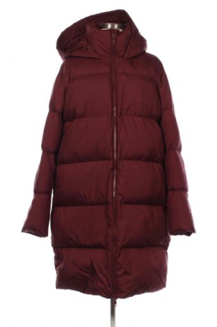 Γυναικείο μπουφάν Tommy Hilfiger, Μέγεθος 3XL, Χρώμα Κόκκινο, Τιμή 172,99 €