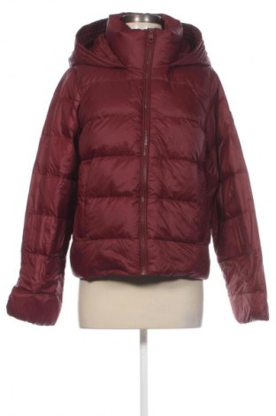 Дамско яке Tommy Hilfiger, Размер L, Цвят Кафяв, Цена 419,99 лв.