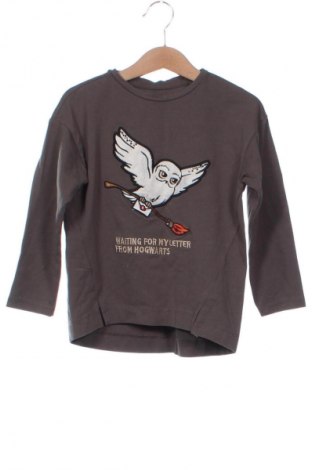 Kinder Shirt Harry Potter, Größe 2-3y/ 98-104 cm, Farbe Grau, Preis € 3,99