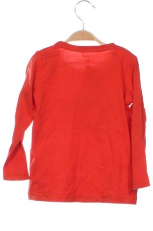 Kinder Shirt Jbc, Größe 18-24m/ 86-98 cm, Farbe Orange, Preis € 7,71