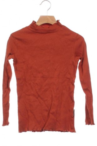 Kinder Shirt Kids, Größe 6-7y/ 122-128 cm, Farbe Braun, Preis € 1,99