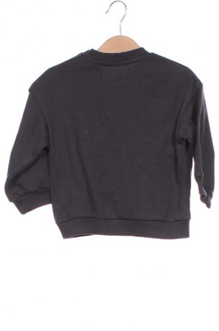Kinder Shirt Minoti, Größe 12-18m/ 80-86 cm, Farbe Grau, Preis € 9,99