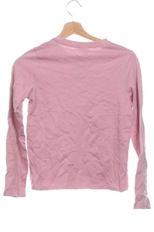 Παιδική μπλούζα Zara, Μέγεθος 11-12y/ 152-158 εκ., Χρώμα Σάπιο μήλο, Τιμή 8,99 €