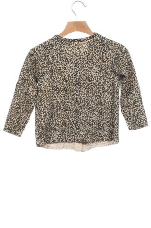 Dziecięcy kardigan Zara Knitwear, Rozmiar 18-24m/ 86-98 cm, Kolor Kolorowy, Cena 52,99 zł