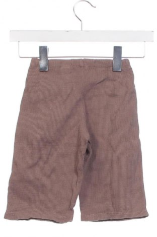 Dětské kalhoty  Zara, Velikost 12-18m/ 80-86 cm, Barva Hnědá, Cena  229,00 Kč