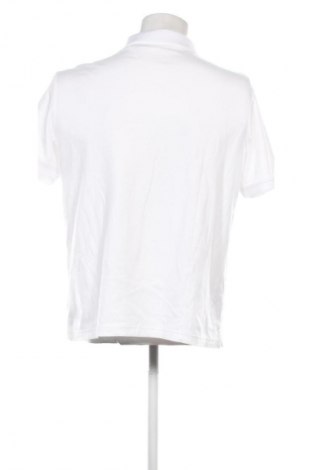Tricou de bărbați Calvin Klein, Mărime L, Culoare Alb, Preț 431,99 Lei