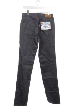 Ανδρικό τζίν Levi's, Μέγεθος S, Χρώμα Γκρί, Τιμή 112,99 €