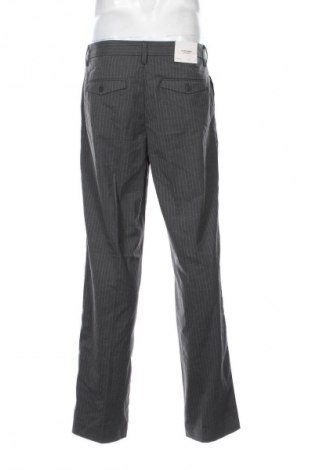 Herrenhose Jack & Jones, Größe L, Farbe Mehrfarbig, Preis € 38,99