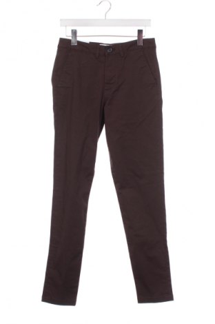 Herrenhose Selected Homme, Größe S, Farbe Braun, Preis € 44,99