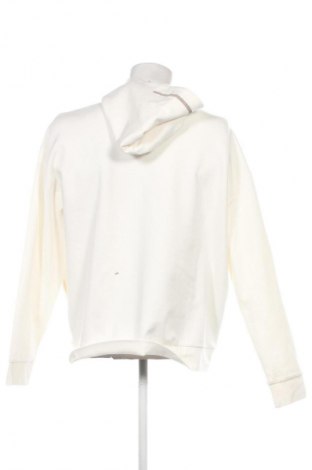 Herren Sweatshirt Calvin Klein, Größe XXL, Farbe Ecru, Preis € 139,99