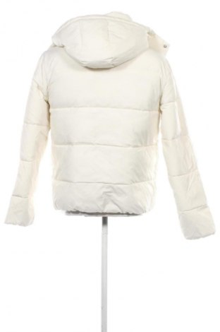 Geacă de bărbati Calvin Klein Jeans, Mărime M, Culoare Ecru, Preț 749,99 Lei