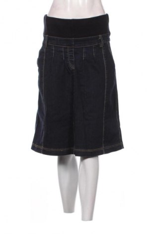 Fustă Unbranded, Mărime M, Culoare Albastru, Preț 11,99 Lei