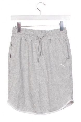 Φούστα PUMA, Μέγεθος XS, Χρώμα Γκρί, Τιμή 21,00 €