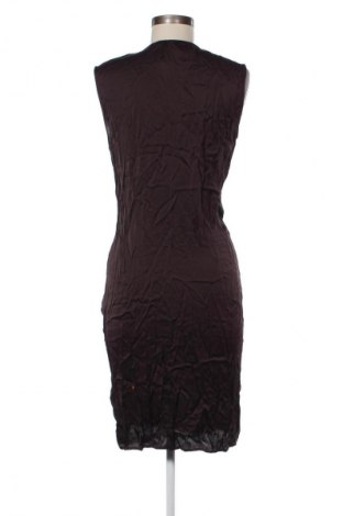 Kleid AllSaints, Größe L, Farbe Braun, Preis € 90,99