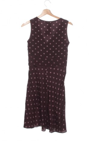 Kleid Allen Schwartz, Größe S, Farbe Mehrfarbig, Preis 82,99 €