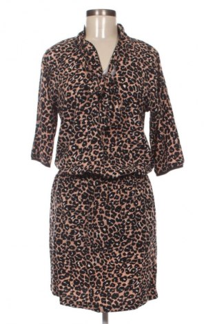 Kleid CKS, Größe S, Farbe Mehrfarbig, Preis € 12,99