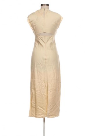 Kleid Calvin Klein, Größe S, Farbe Beige, Preis 219,99 €