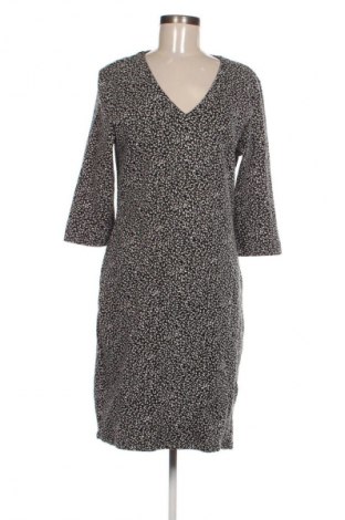 Φόρεμα Catwalk, Μέγεθος XL, Χρώμα Πολύχρωμο, Τιμή 5,99 €