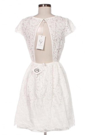 Kleid Chiara Forthi, Größe L, Farbe Mehrfarbig, Preis 20,22 €