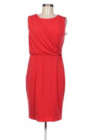 Kleid Coast, Größe M, Farbe Rot, Preis 43,99 €