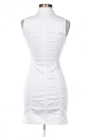 Sukienka Freeman T. Porter, Rozmiar XS, Kolor Biały, Cena 268,99 zł