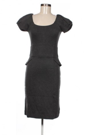 Rochie French Connection, Mărime 4XL, Culoare Gri, Preț 26,99 Lei