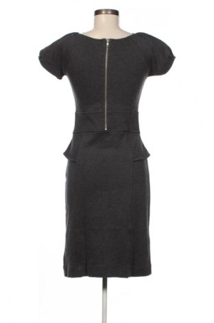 Rochie French Connection, Mărime 4XL, Culoare Gri, Preț 26,99 Lei