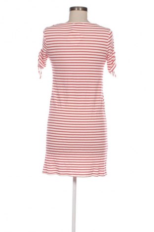 Kleid Mango, Größe S, Farbe Mehrfarbig, Preis 17,36 €