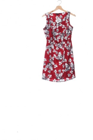 Kleid New Look, Größe XS, Farbe Mehrfarbig, Preis 14,99 €