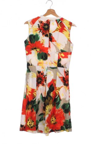 Kleid Next, Größe XS, Farbe Mehrfarbig, Preis 15,99 €
