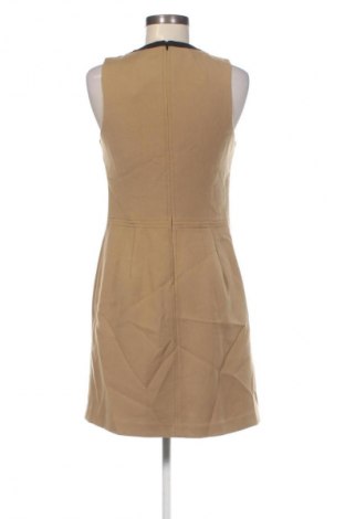 Kleid Next, Größe M, Farbe Braun, Preis 6,99 €